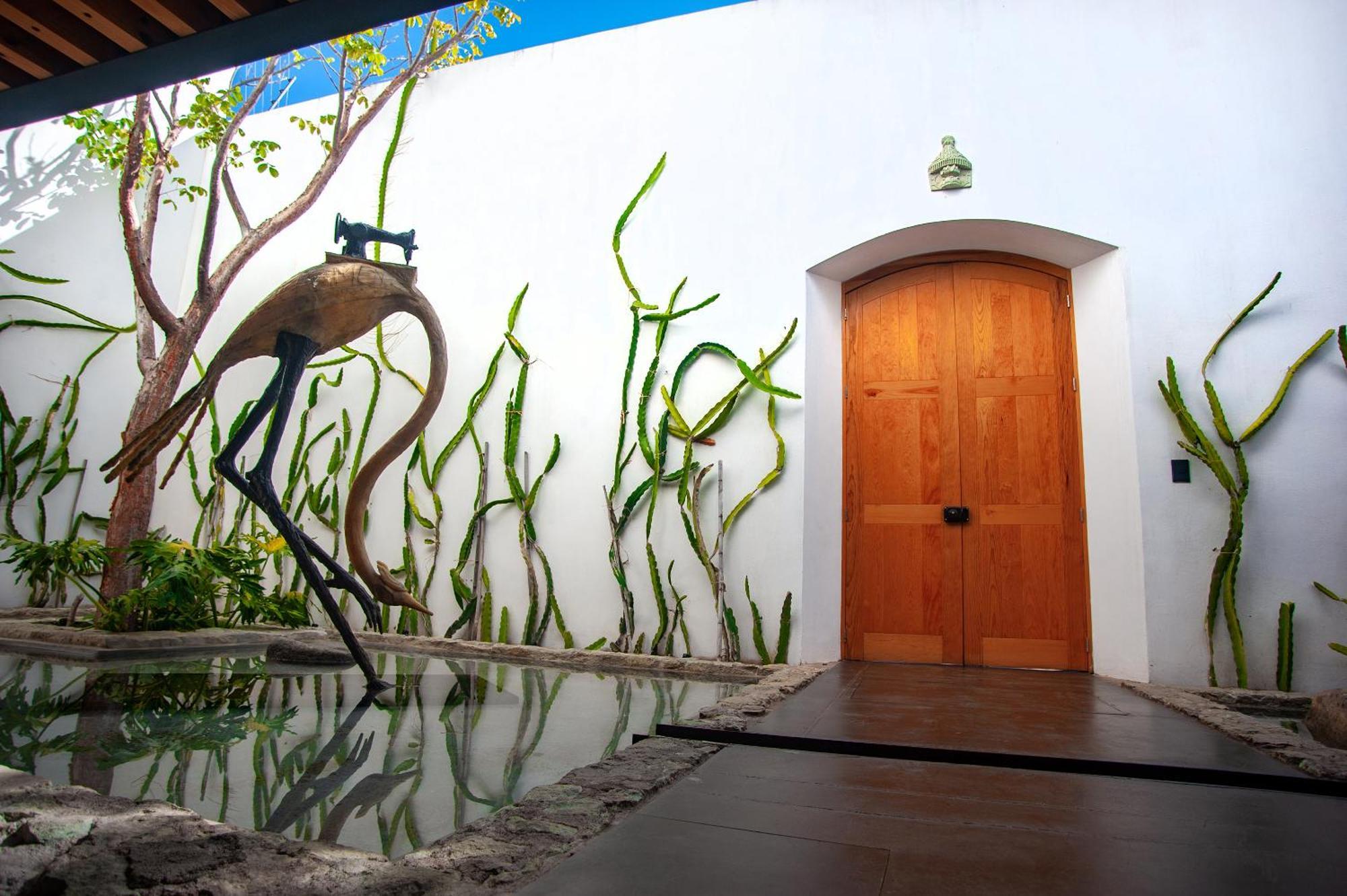 Casa Carmen Xolotl Hotel Oaxaca Exterior foto